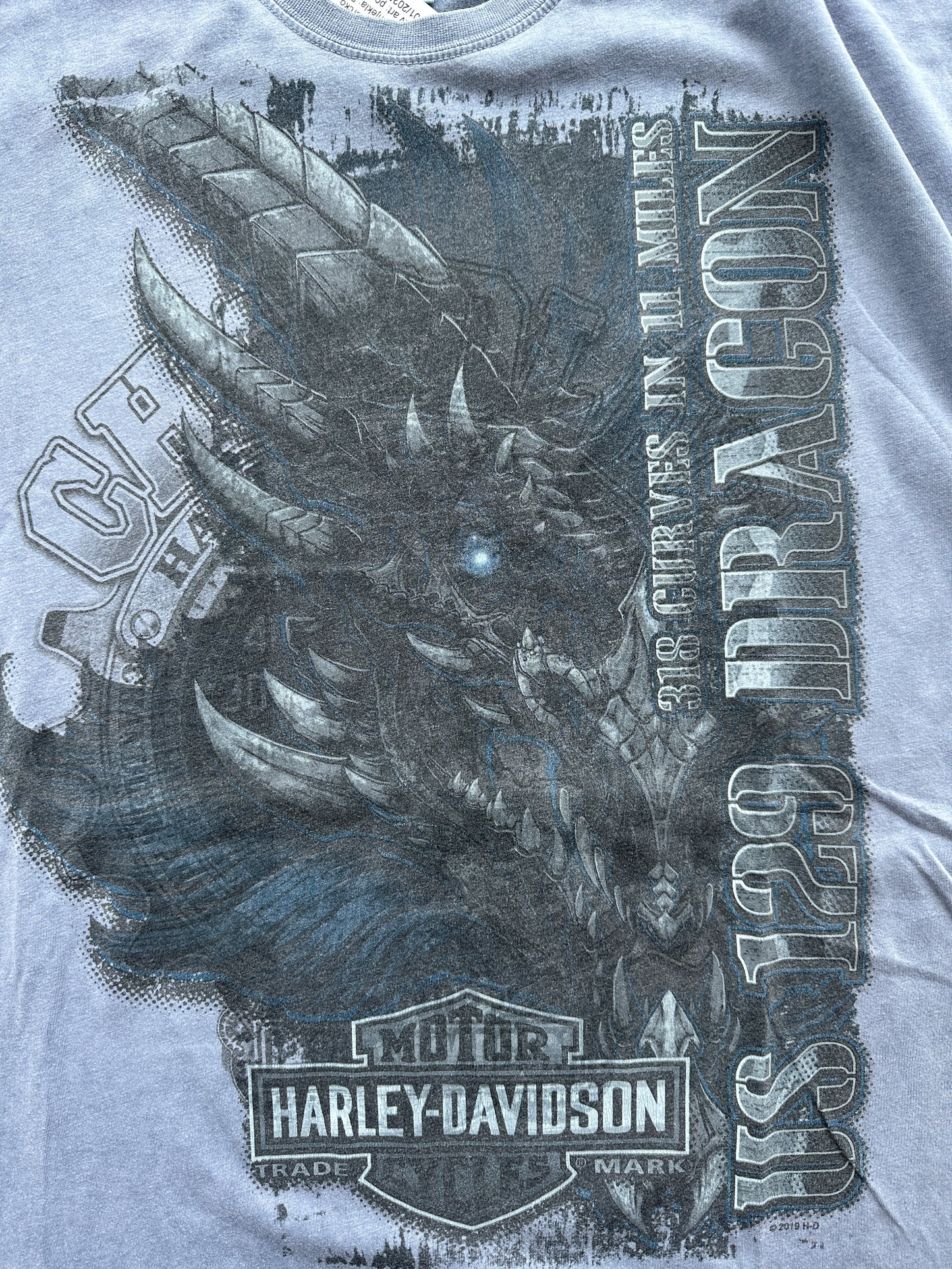 Harley Davidson muška baggy majica (XXL)