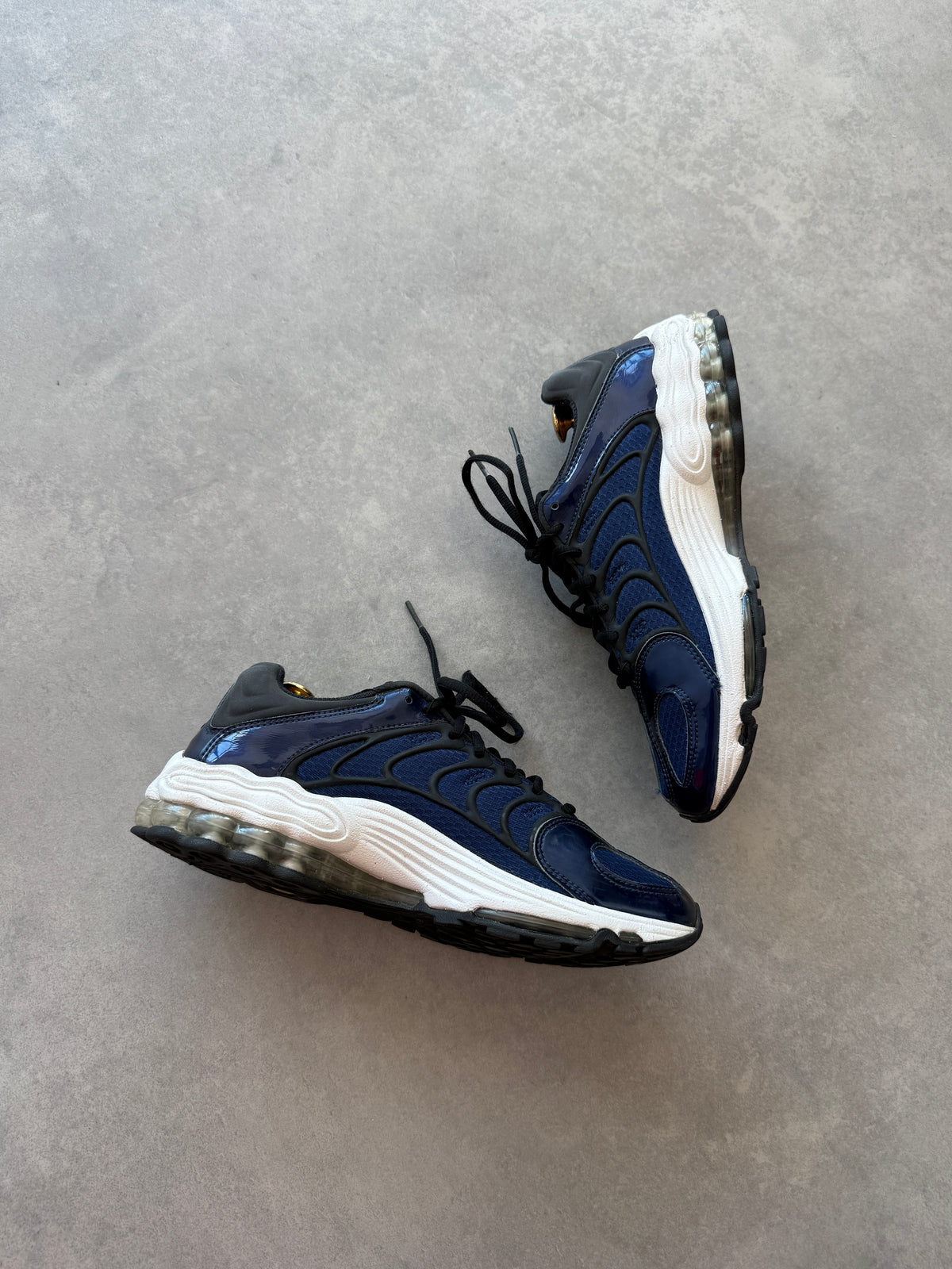 Nike Air Max TN Blue Void muške patike (43)