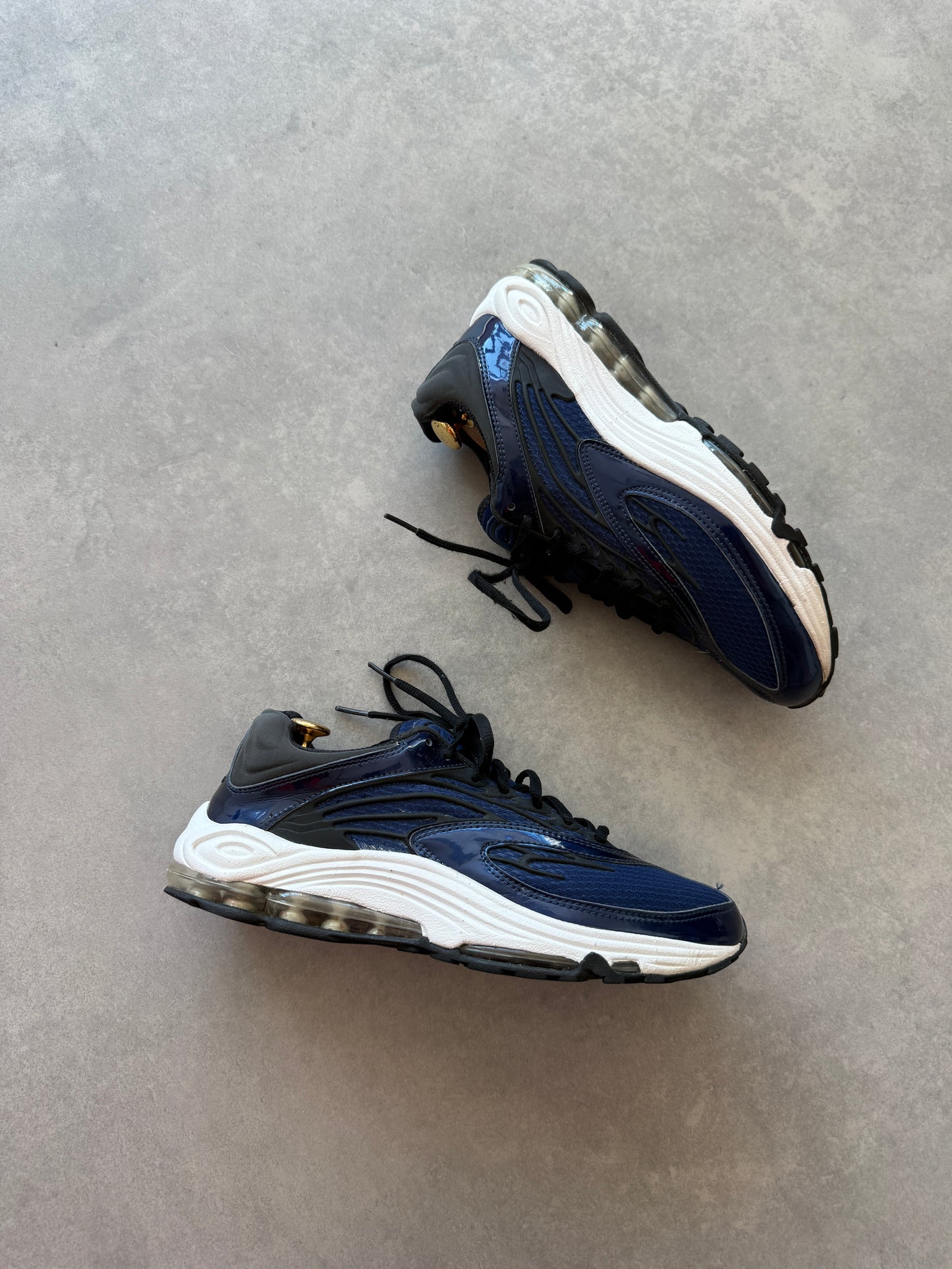 Nike Air Max TN Blue Void muške patike (43)