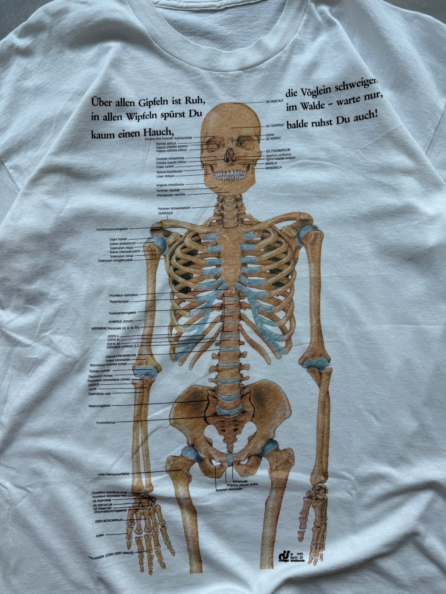 Anatomy vintage muška bijela majica (XL)